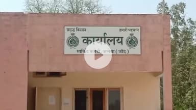 अलेवा: अलेवा अनाज मंडी से किसान की 14 बोरी धान की चोरी