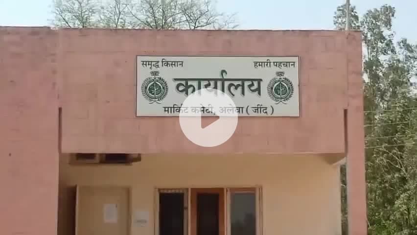 अलेवा: अलेवा अनाज मंडी से किसान की 14 बोरी धान की चोरी