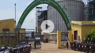 कोंडागांव: कोंडागांव जिले के किसानों के लिए खुशखबरी, कोकोड़ी एथेनॉल प्लांट में 25 नवंबर से समर्थन मूल्य पर मक्का खरीदी शुरू