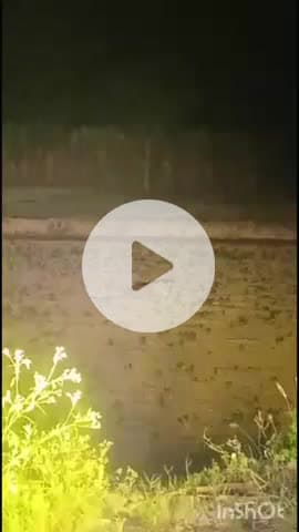 मुज़फ्फरनगर: रोनी हरजीपुर में तेंदुआ दिखने से लोगों में मचा हड़कंप, भय का माहौल