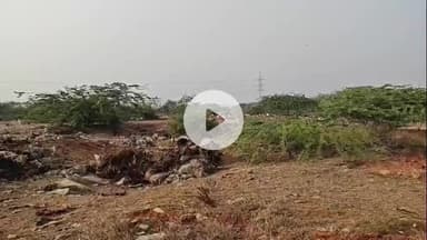 लाडपुरा: कोटा में 14 साल से वन मंडल की जमीन बनी मृत मवेशियों की कब्रगाह, 15 टन हड्डियां नष्ट, निगम अधिकारियों से जवाब तलब