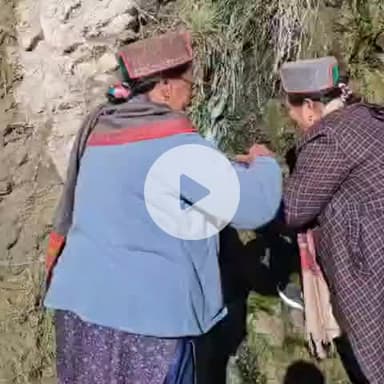 मोरंग: रारंग के निचली तरफ NH-5 के करीब निकलने वाले पानी को लोग भरकर ले जा रहे, गेस्टिक बीमारी की मान रहे औषधि