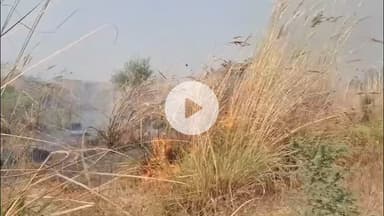 भुसावर: हिंगोटा के पास बाणगंगा नदी के चारागाह भूमि में लगी आग, दमकल की सहायता से पाया गया आग पर काबू