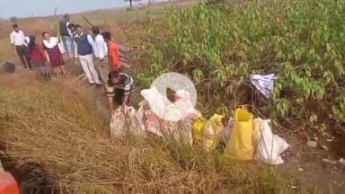 डिंडौरी: टिकरिया रोड स्थित कसहा नदी पर जल संचय अभियान के तहत बोरी बंधान किया गया