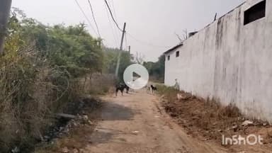 बांदा: इस मौसम में अपनी सेहत और शरीर का ख्याल रखें, सर्दी, खांसी, जुकाम के साथ कुत्तों के काटने की घटनाएं भी बढ़ रही हैं