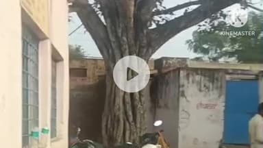 आगर: पचौरा में SIR कार्य जारी: BLO को हार्ट अटैक आने के बाद भी टीम का उत्साह बरकरार, समर्पण से पुनरीक्षण जारी