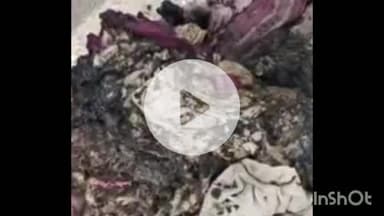 सौर बाज़ार: सदर थाना क्षेत्र के रमेश झा रोड में गैस सिलेंडर में आग, स्थानीय लोगों ने पाया काबू