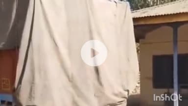 कांगड़ा: वन विभाग ने अवैध कटान पर शिकंजा कसा, पुराना कांगड़ा घाट पर बिना परमिट लकड़ी ले जा रहा ट्रक किया जब्त