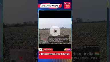 7 फीट लंबा मगरमच्छ निकले से हड़कंप  ।