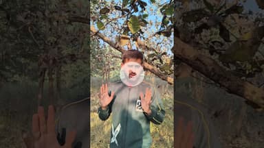 #dongargarh में जवान और नक्सलियों के बीचमुठभेड़, एक जवान शहीद #live #chhattisgarh