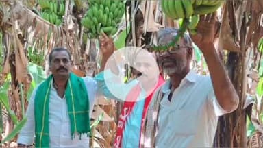 బద్దలాపురంలో రైతు గోపాల్ అరటి తోటను పరిశీలించి రైతులను ఆదుకోవాలని  ఎమ్మార్వో కు వినిత పత్రం ఇచ్చిన రైతు సంఘం నేతలు.