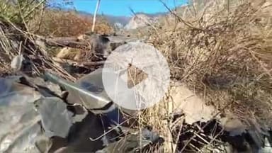 नरेन्द्रनगर: भटवाड़ी के क्यार्क गांव में भालू ने गौशाला की छत तोड़कर बांधी एक गाय को मौत के घाट उतार दिया, दो बेल घायल