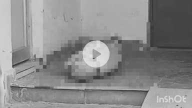 हरदोई: बेहटा गोकुल निवासी 8 माह की गर्भवती महिला की इलाज के दौरान मौत, मायके पक्ष ने जताया संदेह