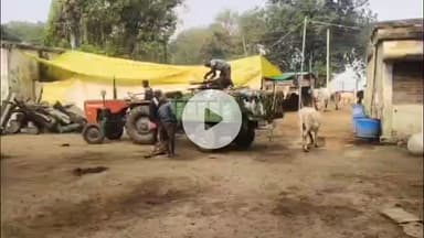 मिर्ज़ापुर: कछवा नगर पंचायत के गौशालय से मृत दो गायों को नगर पालिका की कूड़ा गाड़ी पर ले जाने का वीडियो हुआ वायरल