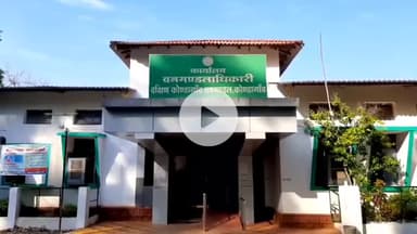 कोंडागांव: कोण्डागांव में वन विभाग की ताबड़तोड़ कार्रवाई, नगर में दो अवैध रूप से संचालित सॉ मिल सील की गई