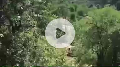 ऋषिकेश: नरेंद्र नगर के पास बस दुर्घटना में 6 घायलों को एम्स ऋषिकेश लाया गया, सभी की हालत नाजुक