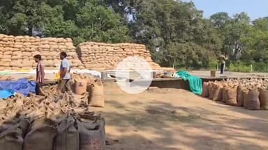 कोंडागांव: कोंडागांव जिले में खरीफ विपणन वर्ष 2025-26 के तहत अब तक 73,000 क्विंटल से अधिक धान की हुई खरीदी