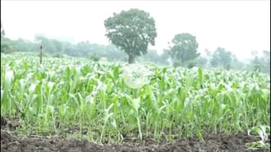 इंदौर: मौसम ने फिर बदली करवट, सर्द मौसम से सामान्य मौसम की ओर