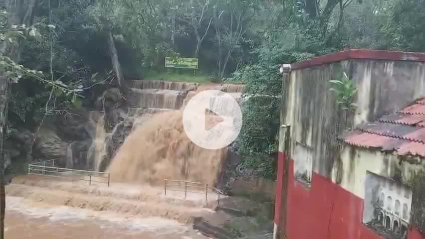 கல்வராயன் மலை: பெரியார் நீர்வீழ்ச்சியில் ஆர்ப்பரித்துக் கொட்டும் தண்ணீரால் சுற்றுலா பயணிகள் குளிக்க தடை விதிப்பு