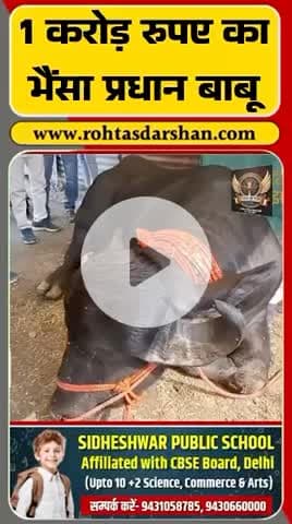 🚨 Sonepur Mela की सबसे बड़ी आकर्षण—1 करोड़ का भैंसा “प्रधान बाबू”! #SonepurMela #PradhanBabu #BiharNews #RDNnews #LocalUpdates #Breaking