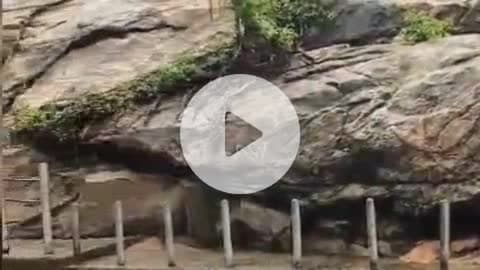 உடுமலைபேட்டை: திருமூர்த்தி மலை பஞ்சலிங்க அறிவியல் பக்தர்கள் மற்றும் சுற்றுலாப் பயணிகள் செல்ல தடை விதிக்கப்பட்டுள்ளது