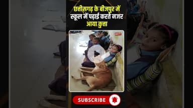 छत्तीसगढ़ के बीजपुर में स्कूल में पढ़ाई करते नजर आया कुत्ता #dog #dogeshbhai #dogviral #viralvideo