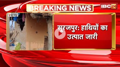 Surajpur Elephant News : जिले में हाथियों का उत्पात जारी। 3 ग्रामीणों के घरों को किया ध्वस्त