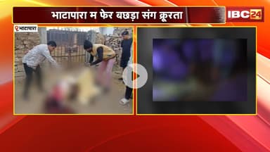 Bhatapara News : बछड़ा के पैर काट क लेगिन अज्ञात लोगन। गौसेवक अउ ग्रामीण मन म भारी आक्रोस