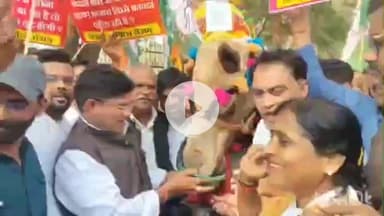 दुर्ग: दुर्ग में कांग्रेस का अनोखा प्रदर्शन, ऊंट के साथ बिजली नीति के खिलाफ किया विरोध