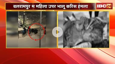 Balrampur Bear Attack : महिला उपर भालू करिस हमला। महिला गंभीर रुप ले घायल