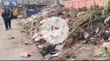 कोईलवर: कायम नगर में बदबूदार कचरे के बीच से होकर स्कूल आ जा रहे बच्चे, वीडियो सोशल मीडिया पर हुआ वायरल
