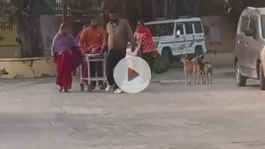 रामपुर: जिला अस्पताल की इमरजेंसी में सेवाएं बदहाल, मरीज़ के तीमारदारों को खुद मरीज़ ले जाने को मजबूर होना पड़ा