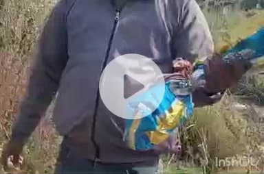 हरिद्वार: वन विभाग ने पकड़े गए सांपों को श्यामपुर के जंगलों में किया छोड़ना