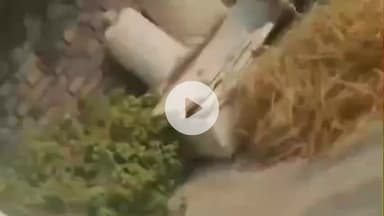 कप्तानगंज: बांसगांव पुलिस की कार्रवाई का विवादित वीडियो वायरल, पीड़ित ने एसपी से निष्पक्ष जांच की मांग की