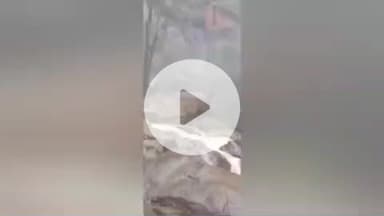 கொல்லிமலை: ஆகாய கங்கை நீர்வீழ்ச்சியில் குளிக்க தடை விதித்து மாவட்ட வனத்துறை அதிரடி உத்தரவு பிறப்பித்துள்ளது