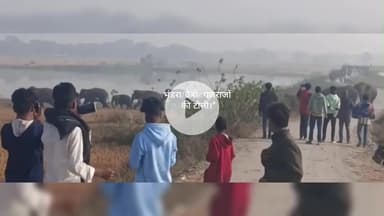 गजराजों की टोली ने फैलाया आतंक, खवास अम्बवा में दहशत
भंडरा/कैरो सीमा से सटे खवास अम्बवा गांव में गजराजों #Lohardaga