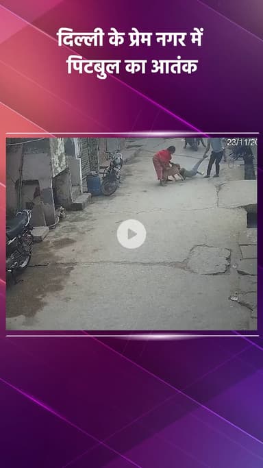 साकेत: दिल्ली के प्रेम नगर में पिटबुल का आतंक, 6 साल के बच्चे को बनाया निशाना
