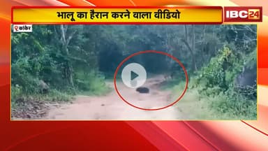 Kanker Bear Video: ट्रेनर के इशारे पर ट्रेनिंग लेता भालू! जवानों की तरह ट्रेनर को फॉलो कर रहा भालू!