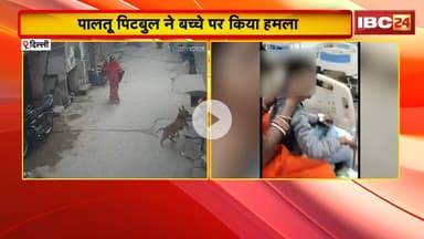Pitbull Attack In Delhi: पालतू पिटबुल ने बच्चे पर किया हमला। बच्चे का एक कान कटकर हुआ अलग
