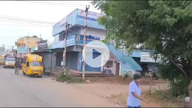 தஞ்சாவூர்: பன்றிகள் தொல்லை தாங்க முடியலை...நாஞ்சிக்கோட்டை மக்கள் கதறல்