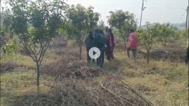 पीरटांड: उप विकास आयुक्त स्मृता कुमारी ने पालगंज मध्य विद्यालय में मध्याह्न भोजन की गुणवत्ता जांची