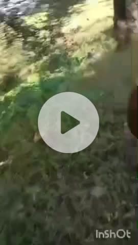 बहराइच: भौखारा के पास दर्दनाक हादसा, बाइक और चार पहिया वाहन की टक्कर में बाइक बनी आग का गोला, बाइक सवार की हुई मौत