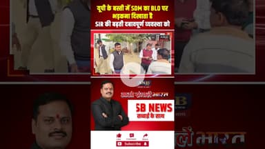 यूपी के बस्ती में SDM का BLO पर भड़कना दिखाता है SIR की बढ़ती दबावपूर्ण व्यवस्था को #viralvideo #sir