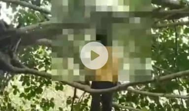 डिंडौरी: अमनी पिपरिया गांव में अज्ञात कारणों से युवक ने पेड़ पर फांसी लगाकर आत्महत्या की, पुलिस जांच में जुटी