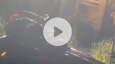 खड्डा: खड्डा में ट्रैक्टर पलटने से किसान नौशाद की मौत, स्टीयरिंग में फंसे रहने से हुआ हादसा, परिवार पर टूटा दुःखों का पहाड़