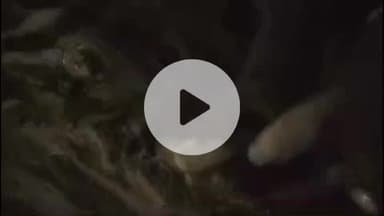 लाडपुरा: उद्योग नगर इलाके में देर रात कार ने मोटरसाइकिल को मारी टक्कर, युवक गंभीर घायल, मेडिकल कॉलेज अस्पताल में भर्ती