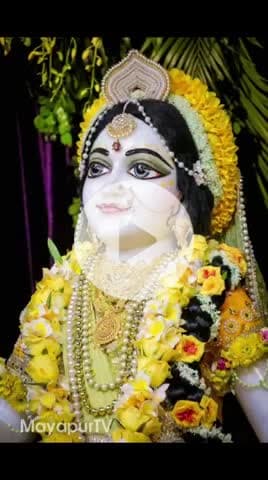 #राधे #vishnu #spirituality #trending #radhakrishn #barsana #dwarkadhish #janmashtami #spiritual #temple #jaishreeram #m