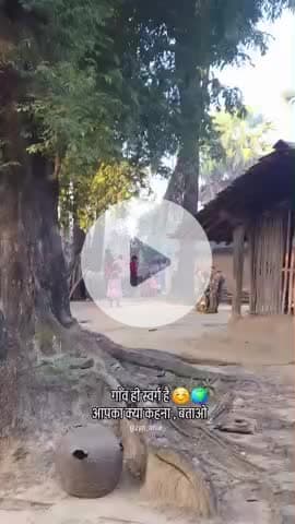 #kondagaon 
#Chhattisgarh 
#baster@