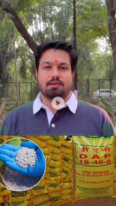 गुना में ठंड के बीच खाद के लिए 36 घंटे से लाइन में लगी आदिवासी महिला किसान की मौत।
आखिर इस मौत का जिम्मेदार कौन ??