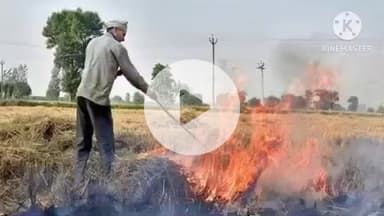 नूरसराय: पराली जलाने पर प्रशासन सख्त, कृषि समन्वयक निलंबित, कई कर्मियों का वेतन रोका गया